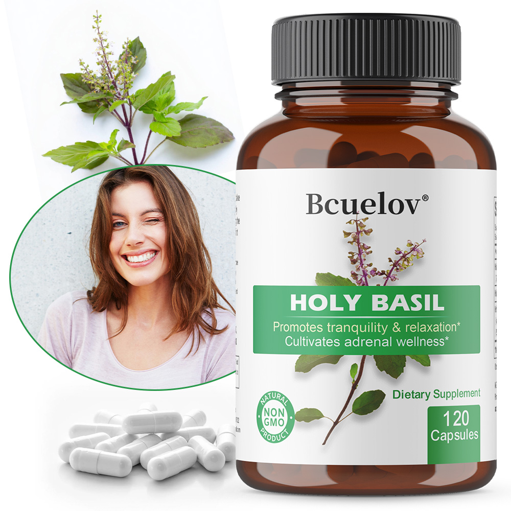 Holy Basil Tulsi Extract Capsu - Tulsi Holy Basil ulasan dan harga