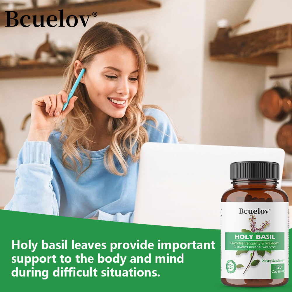 Holy Basil Tulsi Extract Capsu - Tulsi Holy Basil ulasan dan harga