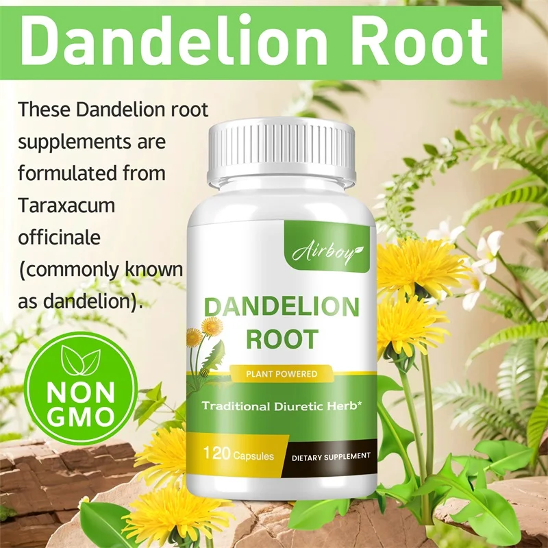 Dandelion Root Capsules - Pros - Tulsi Holy Basil ulasan dan harga